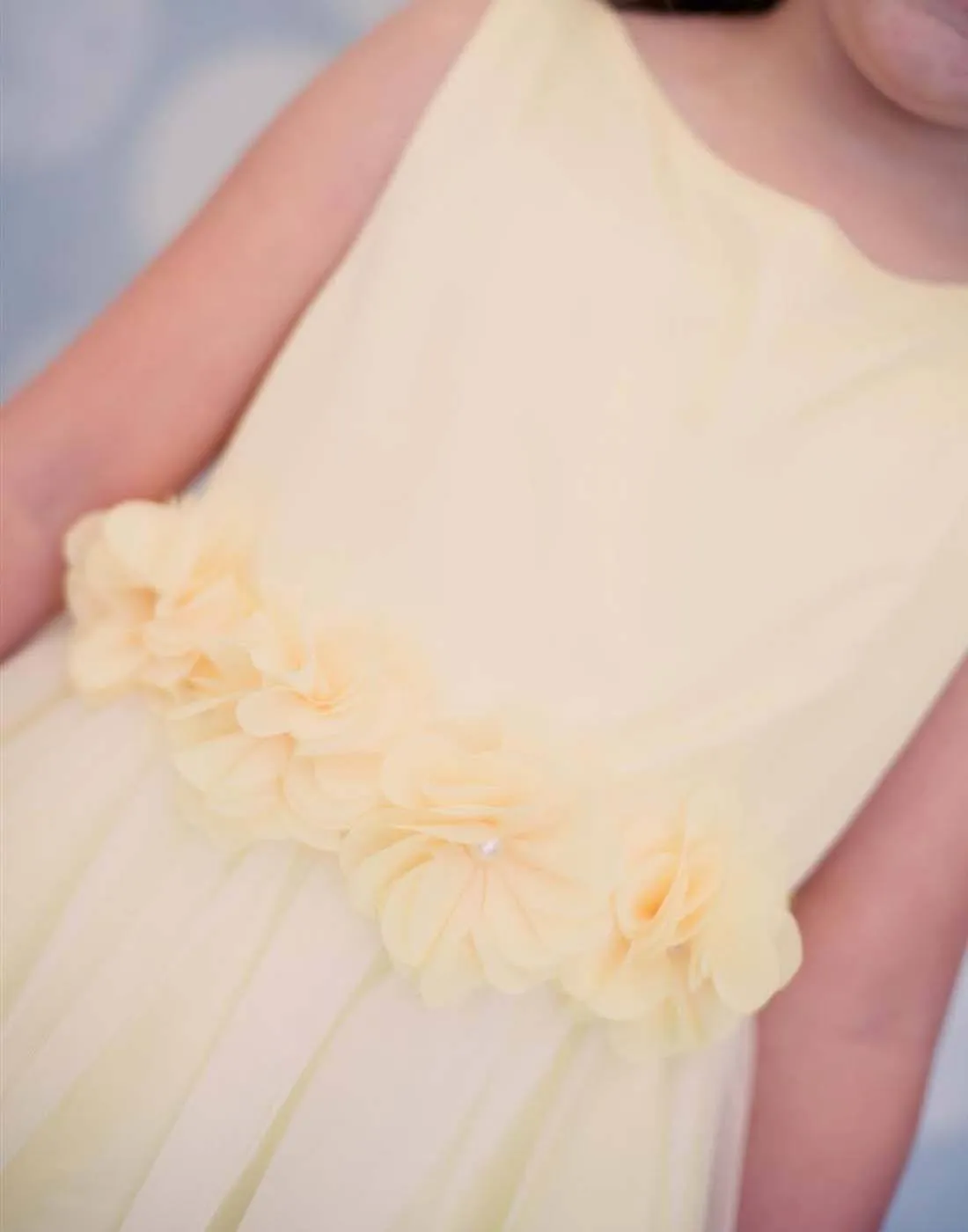 Appealing Flower Mesh Dress - Yellow