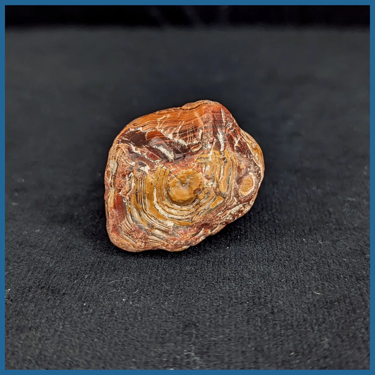 LAS171rs Lake Superior Agate Rough Specimen