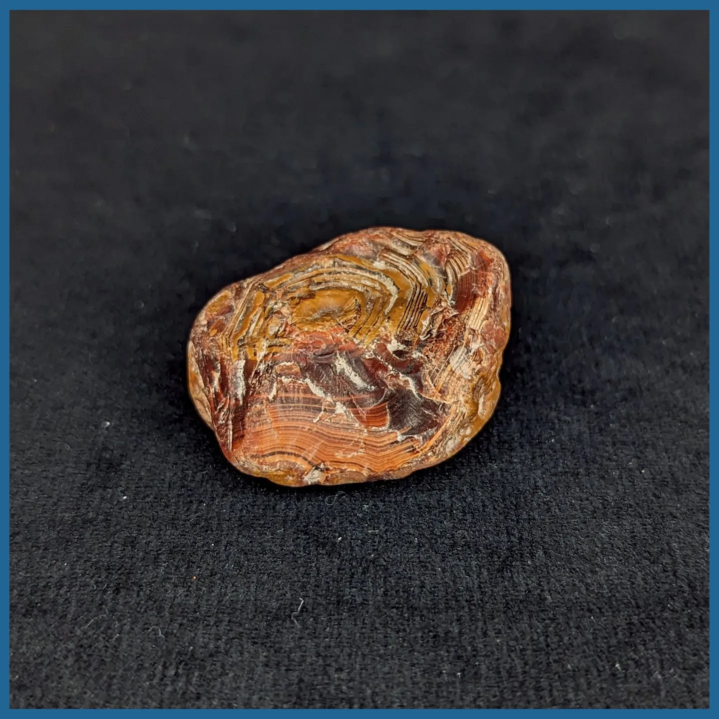 LAS171rs Lake Superior Agate Rough Specimen