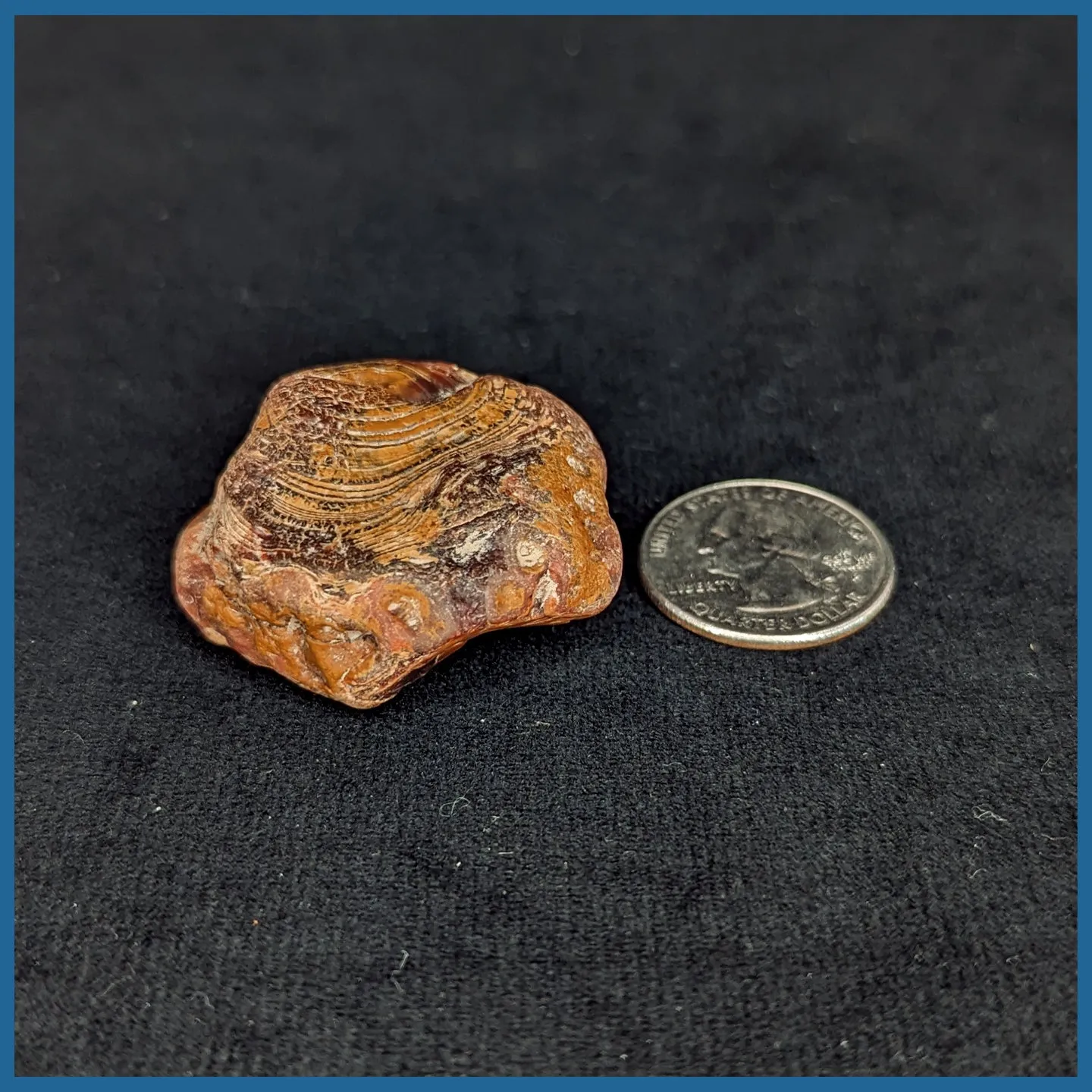 LAS171rs Lake Superior Agate Rough Specimen
